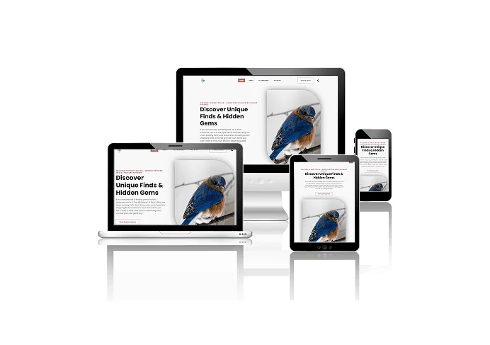 Website mockup for Birdy's Blog