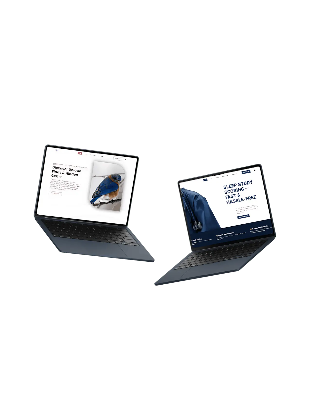 Website header with laptop displays showcasing website designs and the text 'WEB SOLUTIONS FOR SMALL BUSINESS SUCCESS